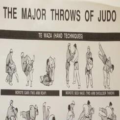 judo throws